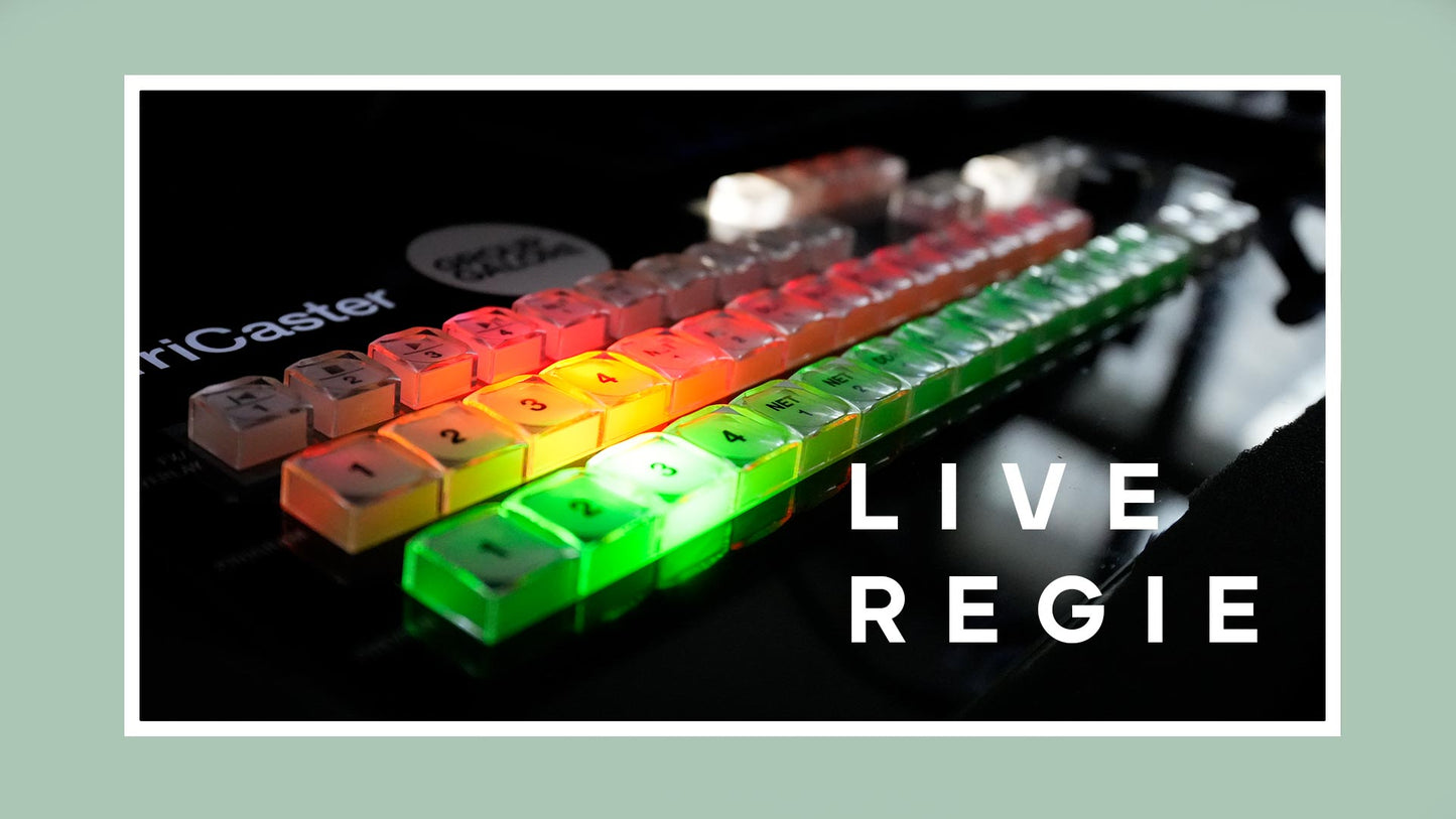 Mehrkamera Live-Regiesseur/in im Tagesengagement
